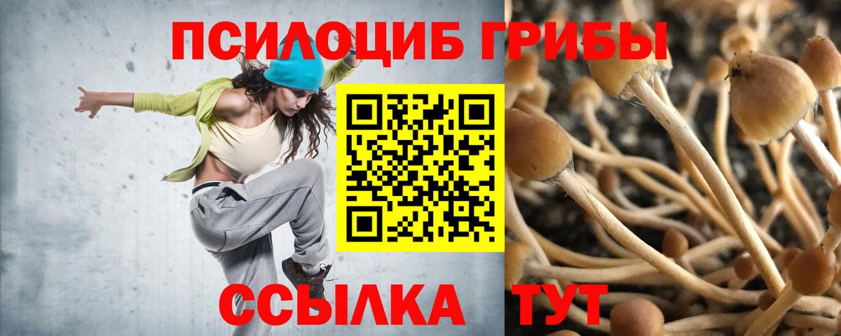 Тосно  что такое наркотик  Вход с VPN  Псилоцибиновые грибы Psilocybe 